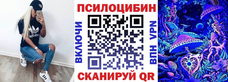 как найти наркотики ОМГ ОМГ Псилоцибиновые грибы Psilocybe Магадан